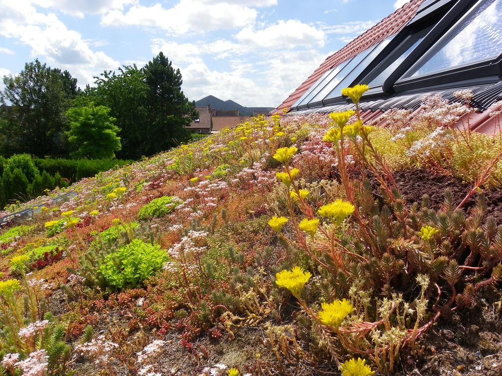 Ferienhaus Fleur De Ciel